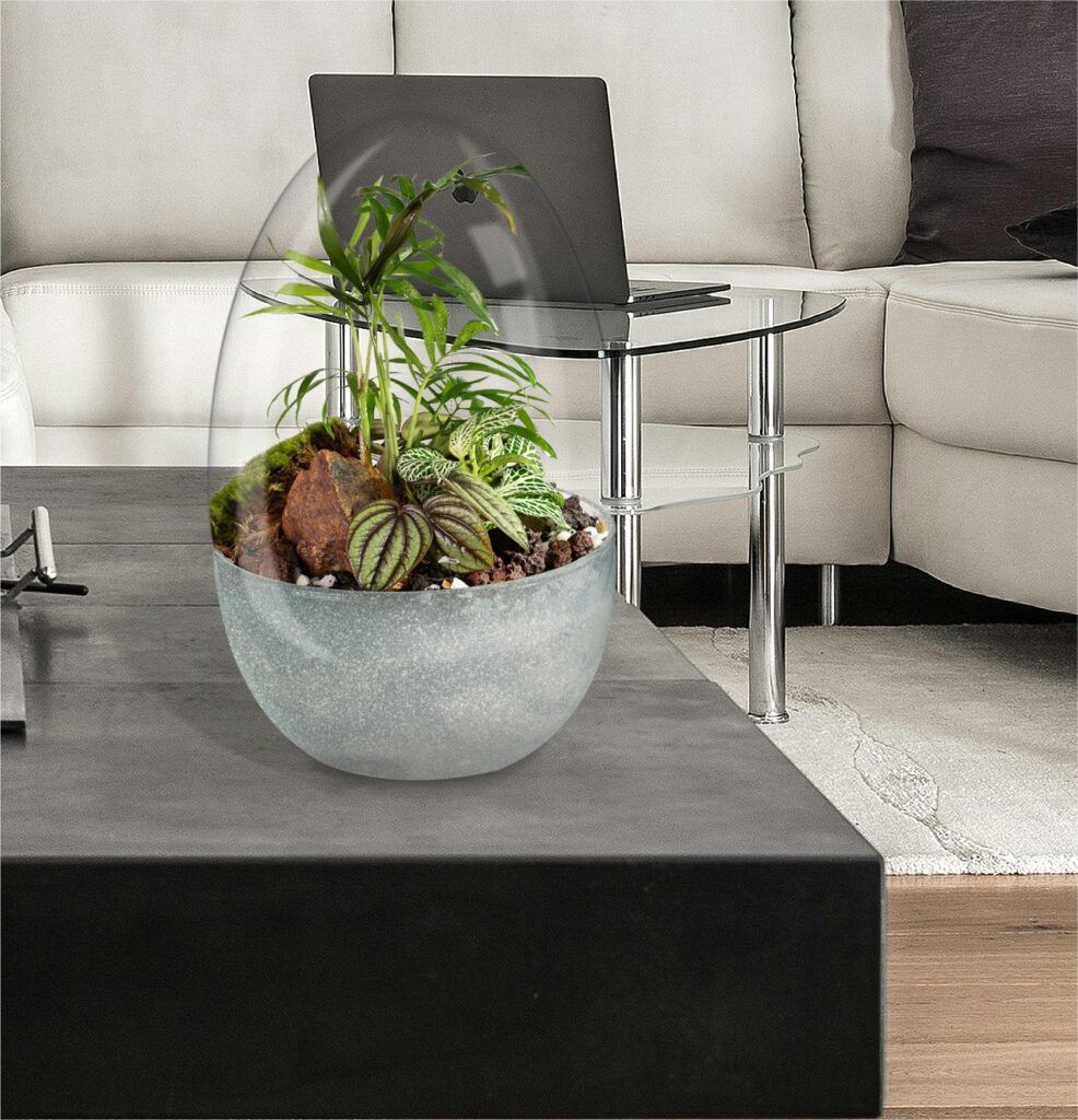 Biogarden ecosistema terrarium Wagner en un hogar