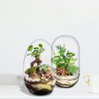 Biogarden, forma parte de la decoración de tu hogar