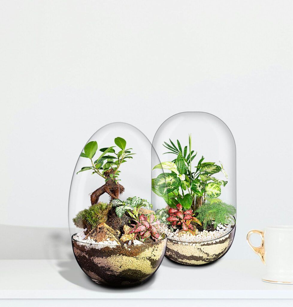 Biogarden, forma parte de la decoración de tu hogar