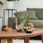 Biogarden, forma parte de la decoración de tu vida