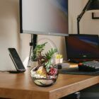 Biogarden, perfecto junto a tu pantalla de ordenador, muy relajante