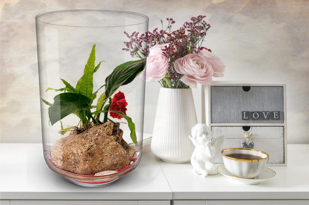 Biogarden, ecosistemas AQUARIUM Biogarden, ecosistemas AQUARIUM, integrados en el hogar