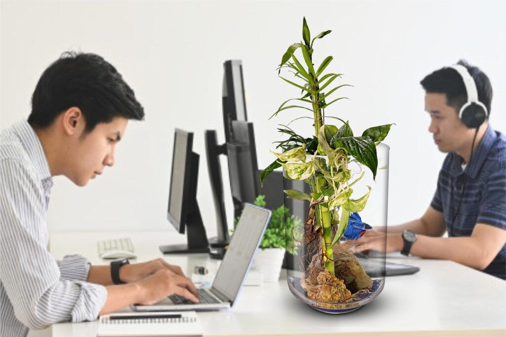 D Biogarden, ecosistemas aquarium Ecosistema Aquarium en una mesa de oficina con personas trabajando al lado