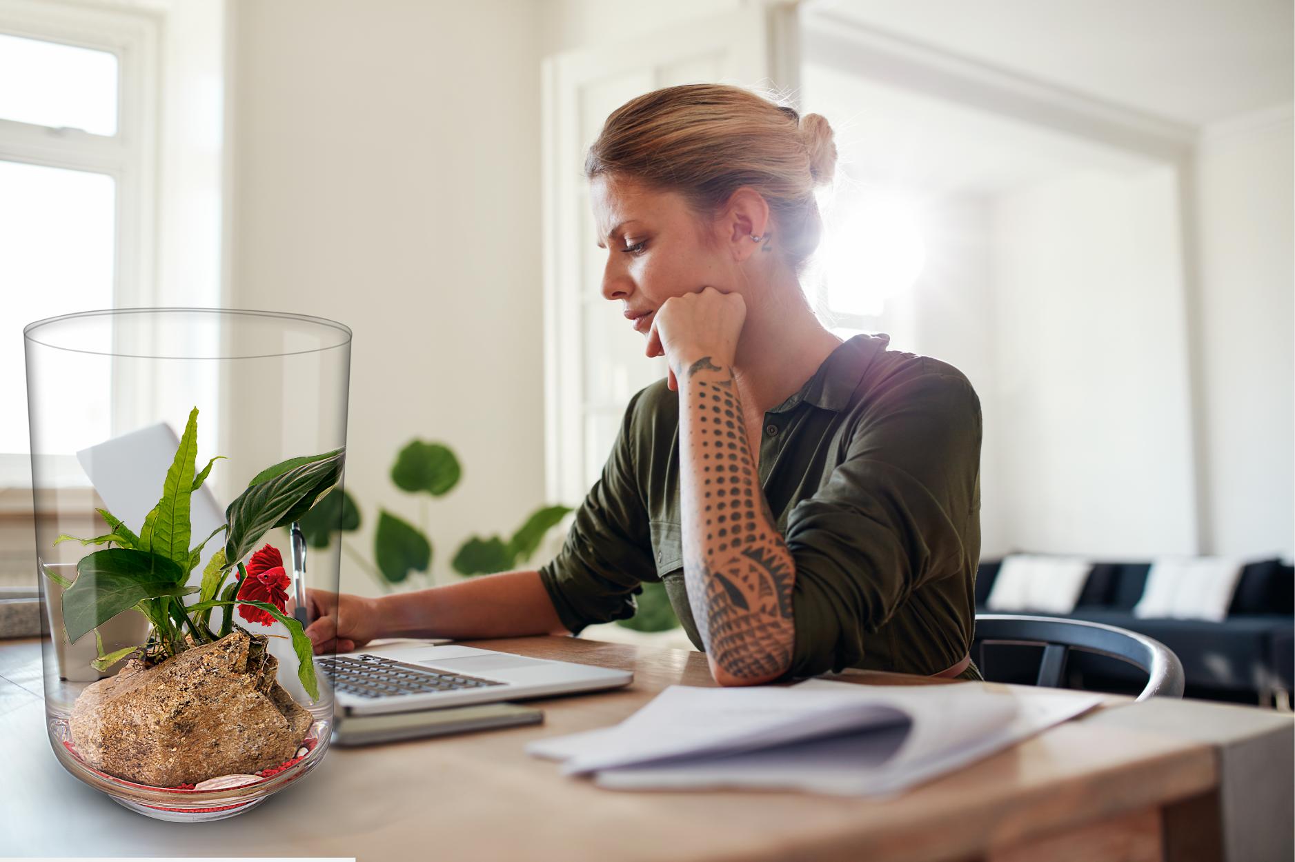 Naturaleza en tu escritorio con los ecosistemas BIOGARDEN