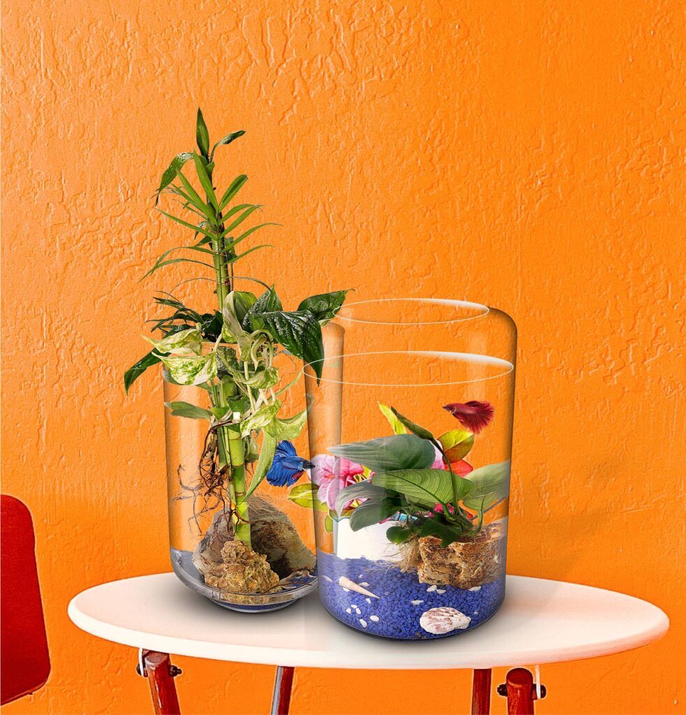 Ecosistemas Aquarium pez y plantas en una mesa