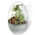 Biogarden ecosistema terrarium Wagner con base antracita