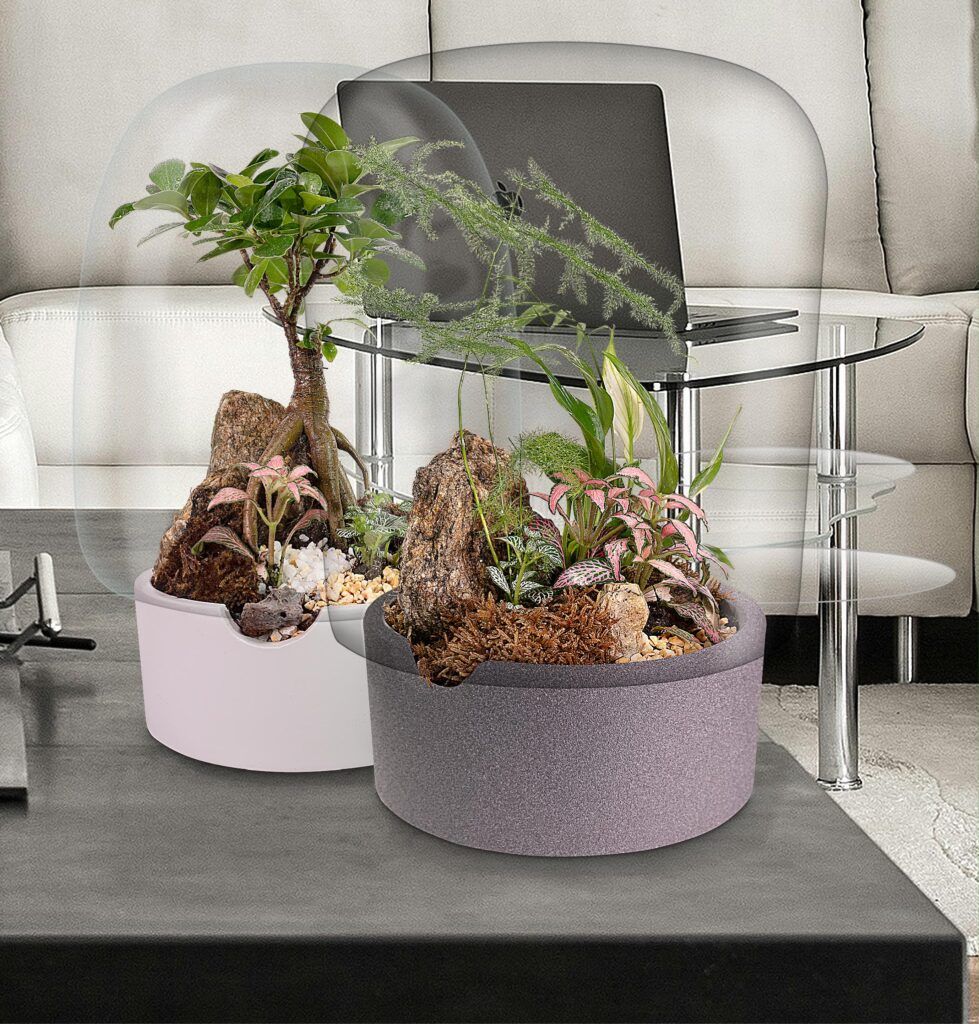 Biogarden, ecosistema TERRARIO JARDIN BOTANICO MONET con ecosistema bonsái como muestra de la capacidad como elemento en la decoración