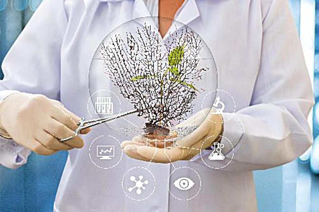 Biogarden, Colección de ecosistemas Biosfera Nuestro equipo trabaja para desarrollar la nueva colección de Biosferas