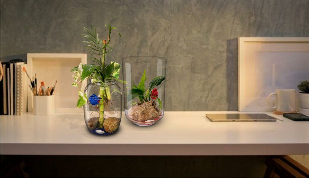 foto aqua 3 foto aqua 3