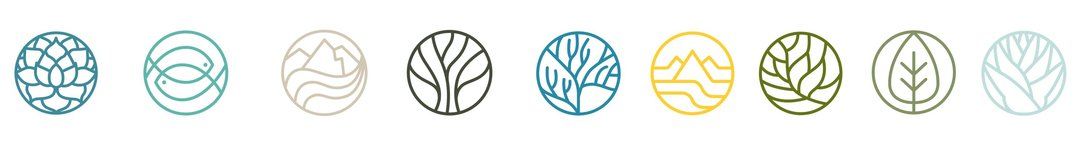 Diseños de diferentes logotipos de cada línea de productos