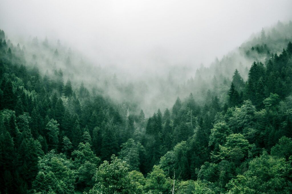 Paisaje de nuestro ecosistema