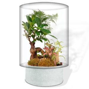 Terrario con bonsái plantas y musgo en recipiente cilíndrico