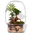 Biogarden, ecosistema terrario BONSAI UNSUI BASE NATURAL