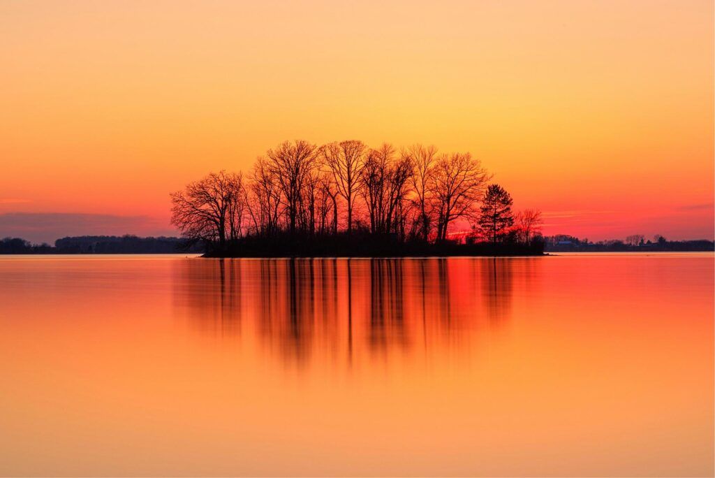 Biogarden. Naturaleza, el ecosistema en tus manos Foto espectacular de arboles en medio del agua, la naturaleza siempre nos ofrece un gran espectáculo