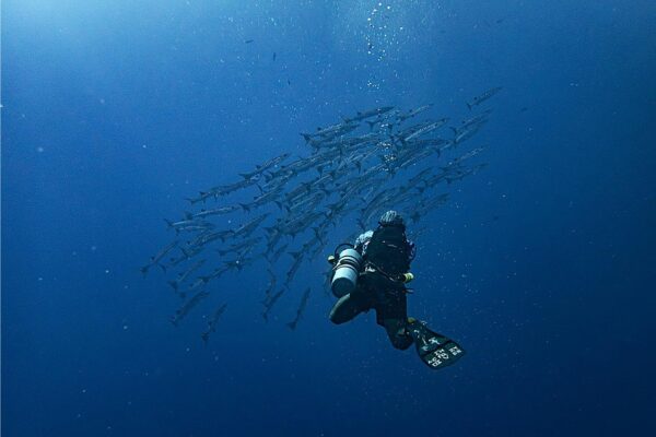 Foto de submarinista admirando el ecosistema marino