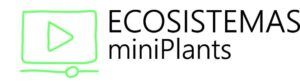 Diseño de logo de Ecosistemas Miniplants, una coleccion diseñada por Biogarden