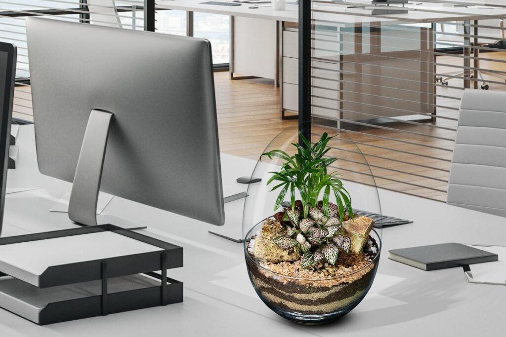 Biogarden ecosistema vegetal Pocket Biogarden ecosistema vegetal pocket junto a un ordenador