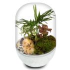 Biogarden, ecosistema terrario Haydn con base en blanco para combinar con la decoración