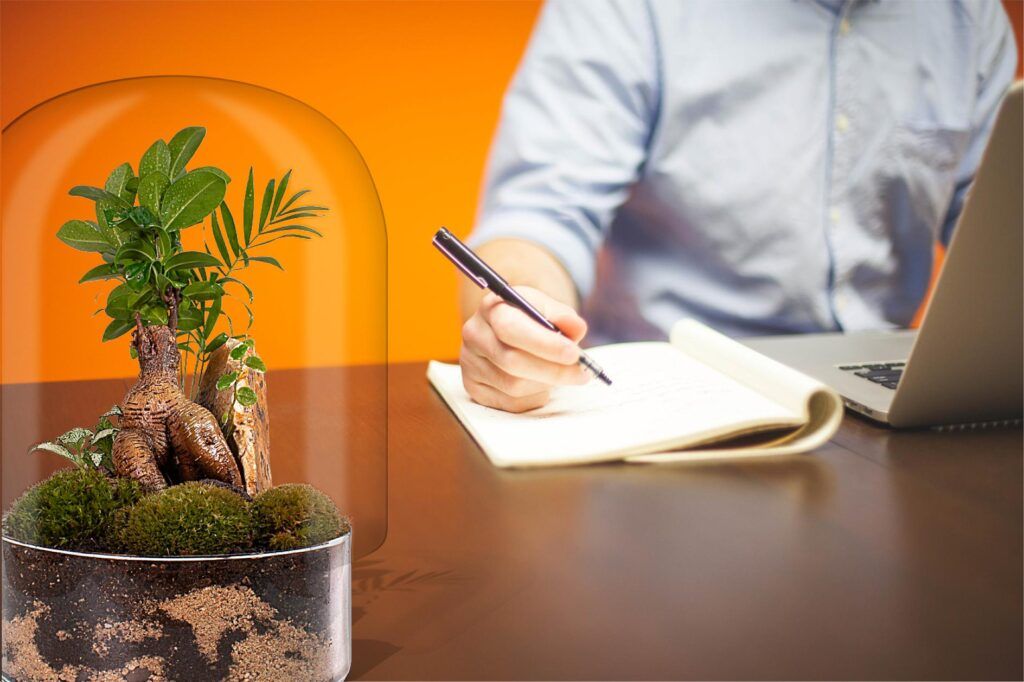 Ecosistemas terrarium bonsai ZEN Ecosistema bonsái junto a tu lugar de trabajo, un espacio de naturaleza a tu lado.