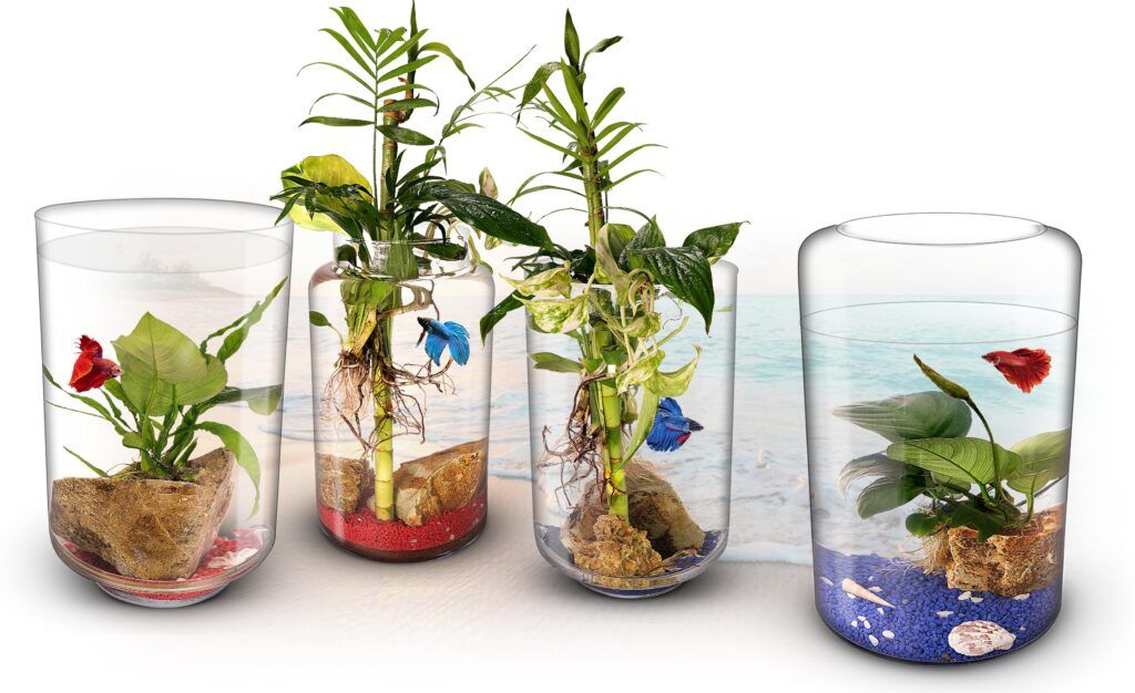 Biogarden, colección Ecosistemas AQUARIUM fOTOGRAFIA DE: Biogarden, colección Ecosistemas AQUARIUM