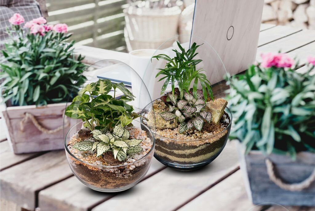 Biogarden, foto con dos ecosistemas Pocket