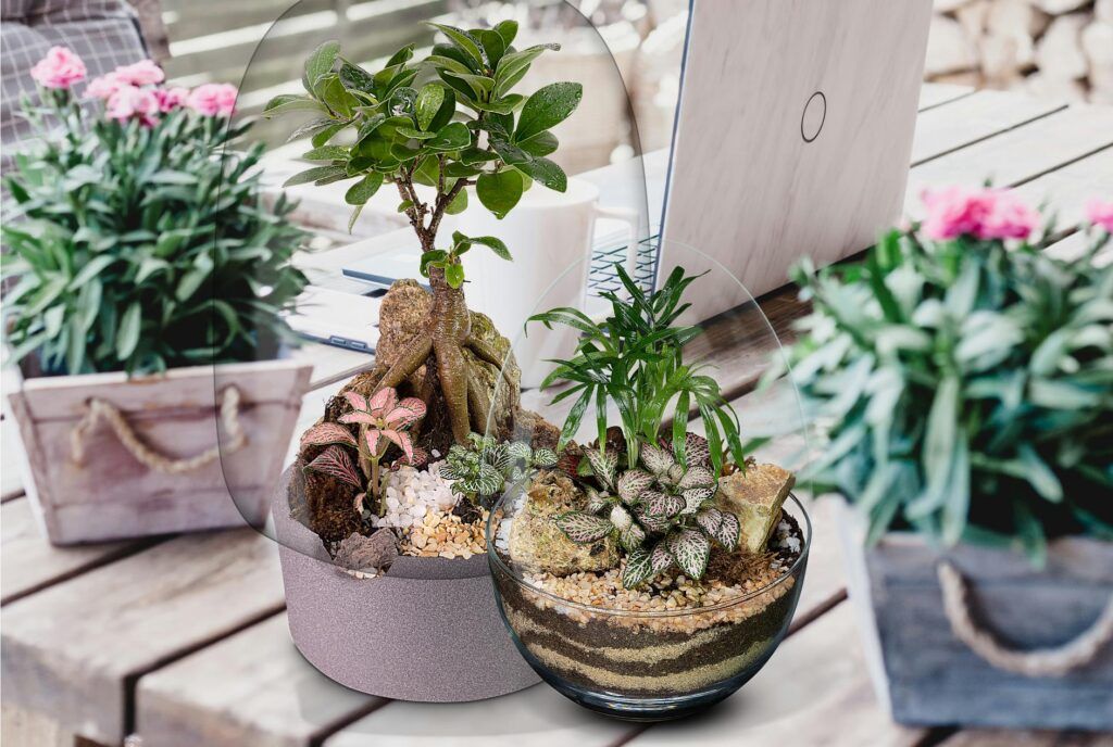 Biogarden escena de dos ecosistemas decorando un espacio del hogar