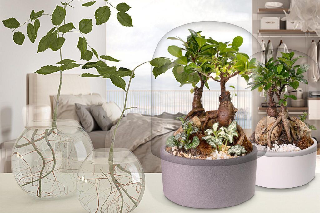 Biogarden Ecosistemas bonsái Biogarden, foto de ecosistema terrario bonsái formando parte de la decoración de un espacio