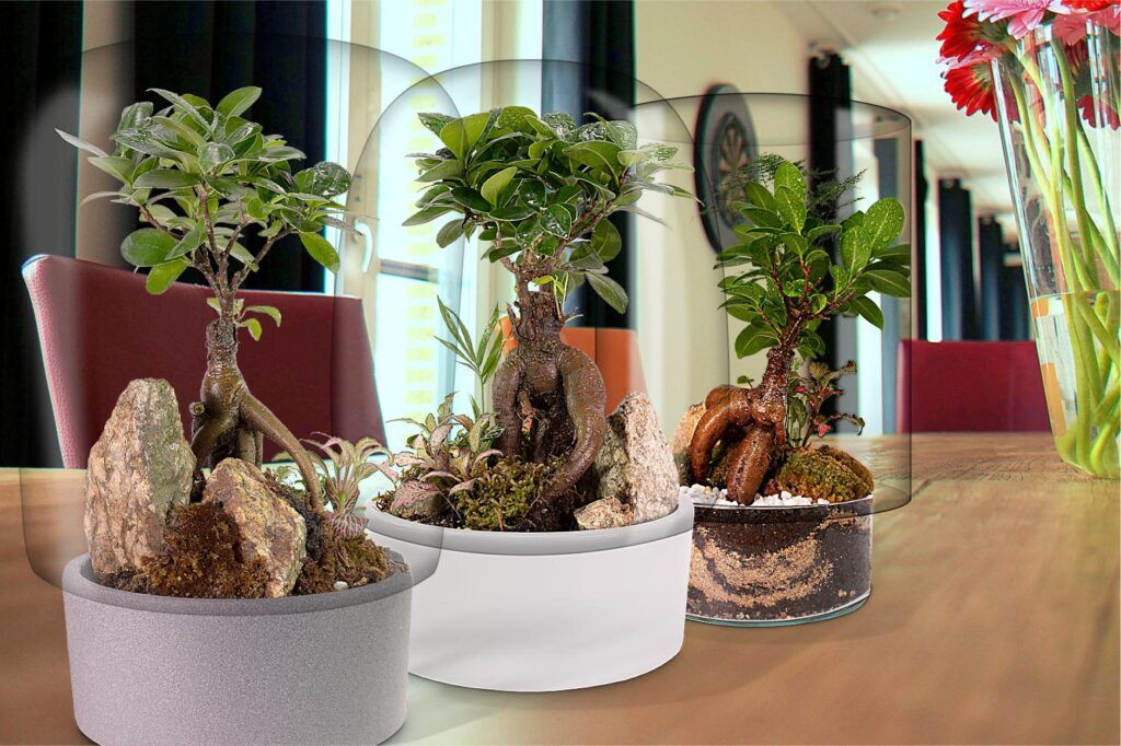 Biogarden,  fotografías de la colección de Ecosistemas terrario bonsái Biogarden, diferentes ecosistemas mostrados en la decoración del hogar