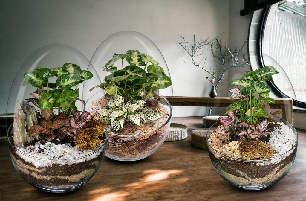 Biogarden, fotografisa de varias piezas de la colección Pocket en la decoración de un hogar