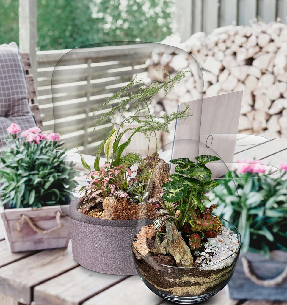Biogarden, Ecosistemas terrario Jardín Botánico como elemento de la decoración y la vida de un hogar