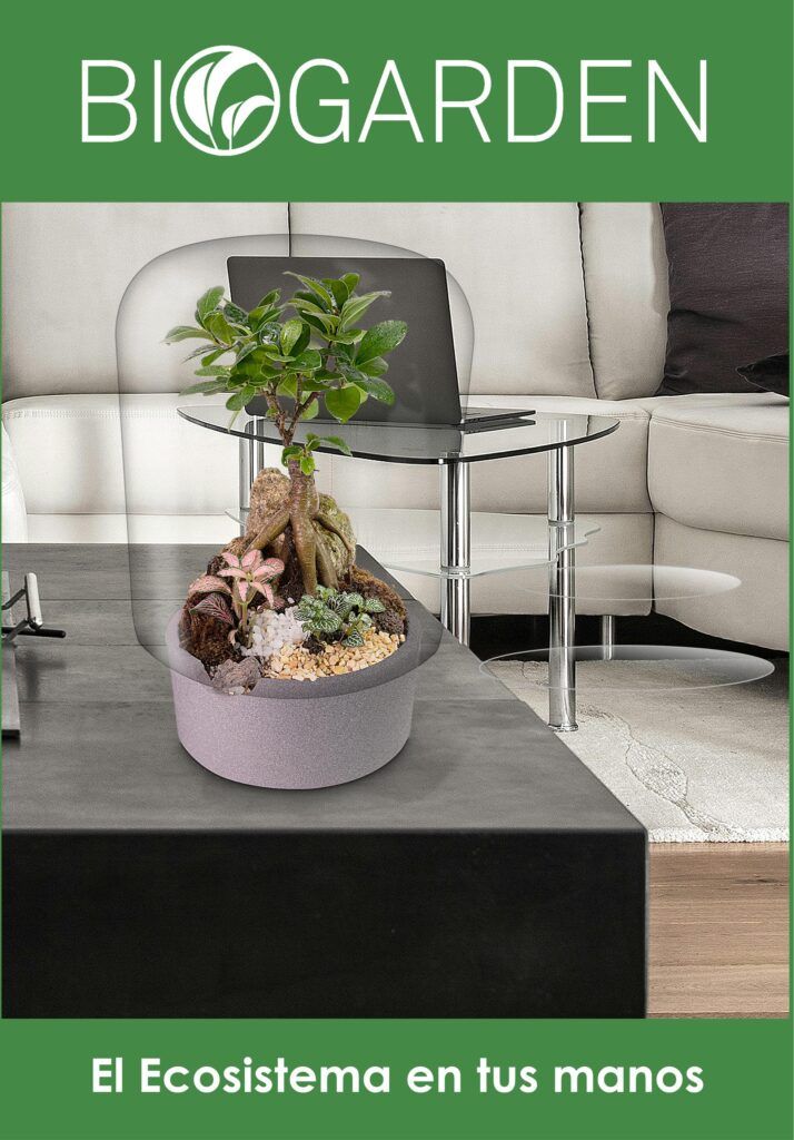 Biogarden, ecosistema terrario BONSÁI BODHI Ecosistema terrario BONSÁI BODHI integrado en una casa