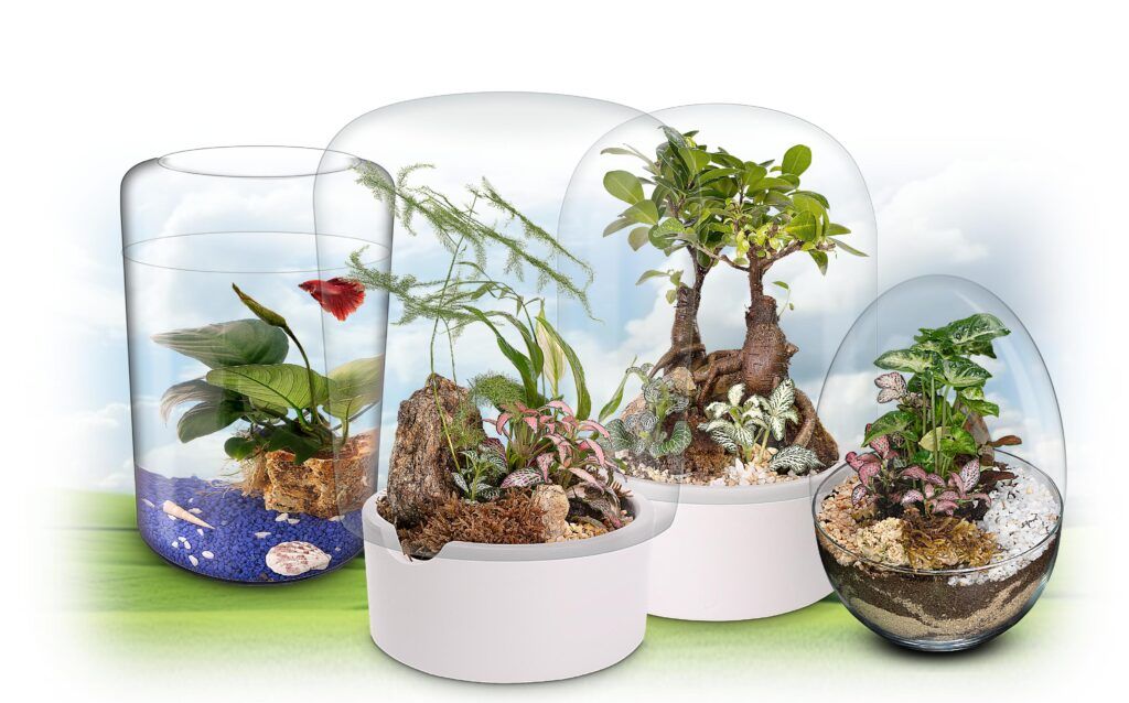 Biogarden, Mix de ecosistemas creados por nuestros científicos y maestros artesanos Biogarden, Mix de ecosistemas creados por nuestros científicos y maestros artesanos