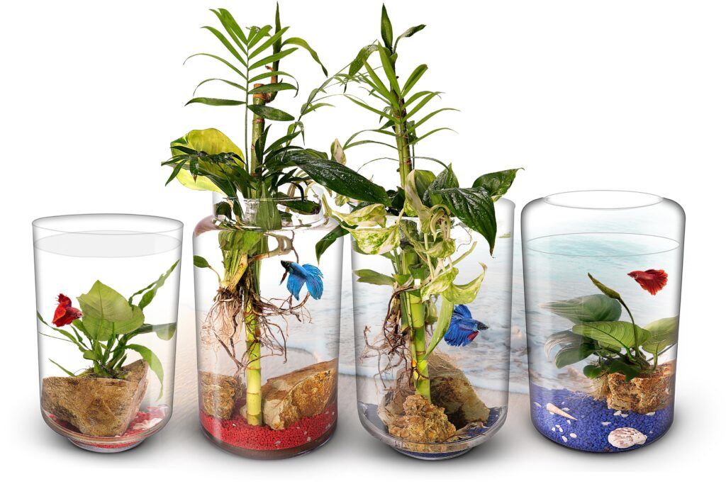 Biogarden, ecosistemas AQUARIUM Biogarden, colección de ecosistemas Aquarium