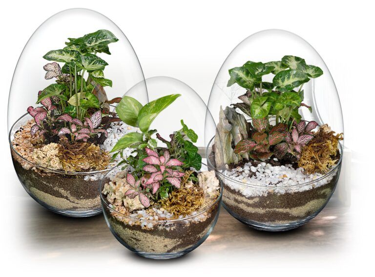 Coleccion de pequeños ecosistemas elaborados por Biogarden, corresponde a la colección POCKET