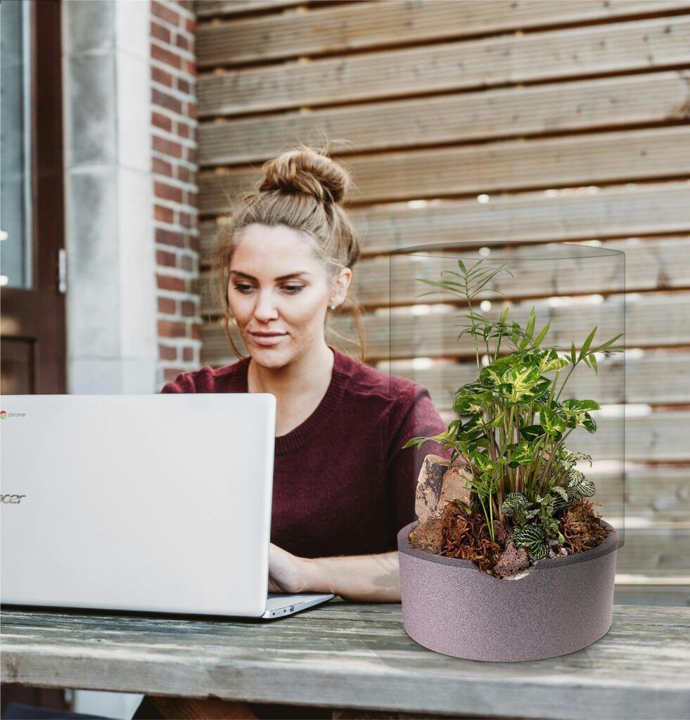 Biogarden Ecosistema Terrario Jardín Botánico es un placer y un regalo tenerlo cerca de ti Biogarden Ecosistema Terrario Jardín Botánico es un placer y un regalo tenerlo cerca de ti