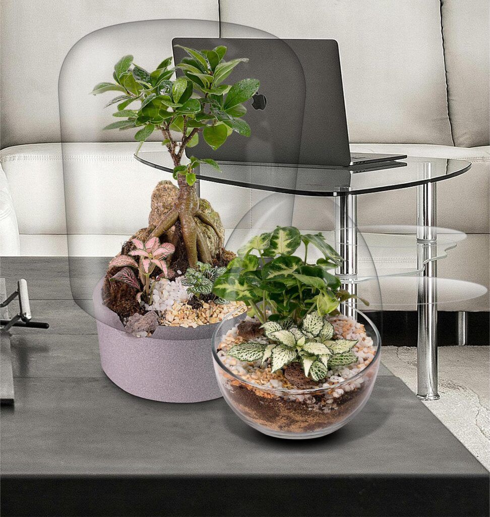 Biogarden, dos ecosistemas decorando un espacio Ecosistemas Biogarden en la decoración de un hogar