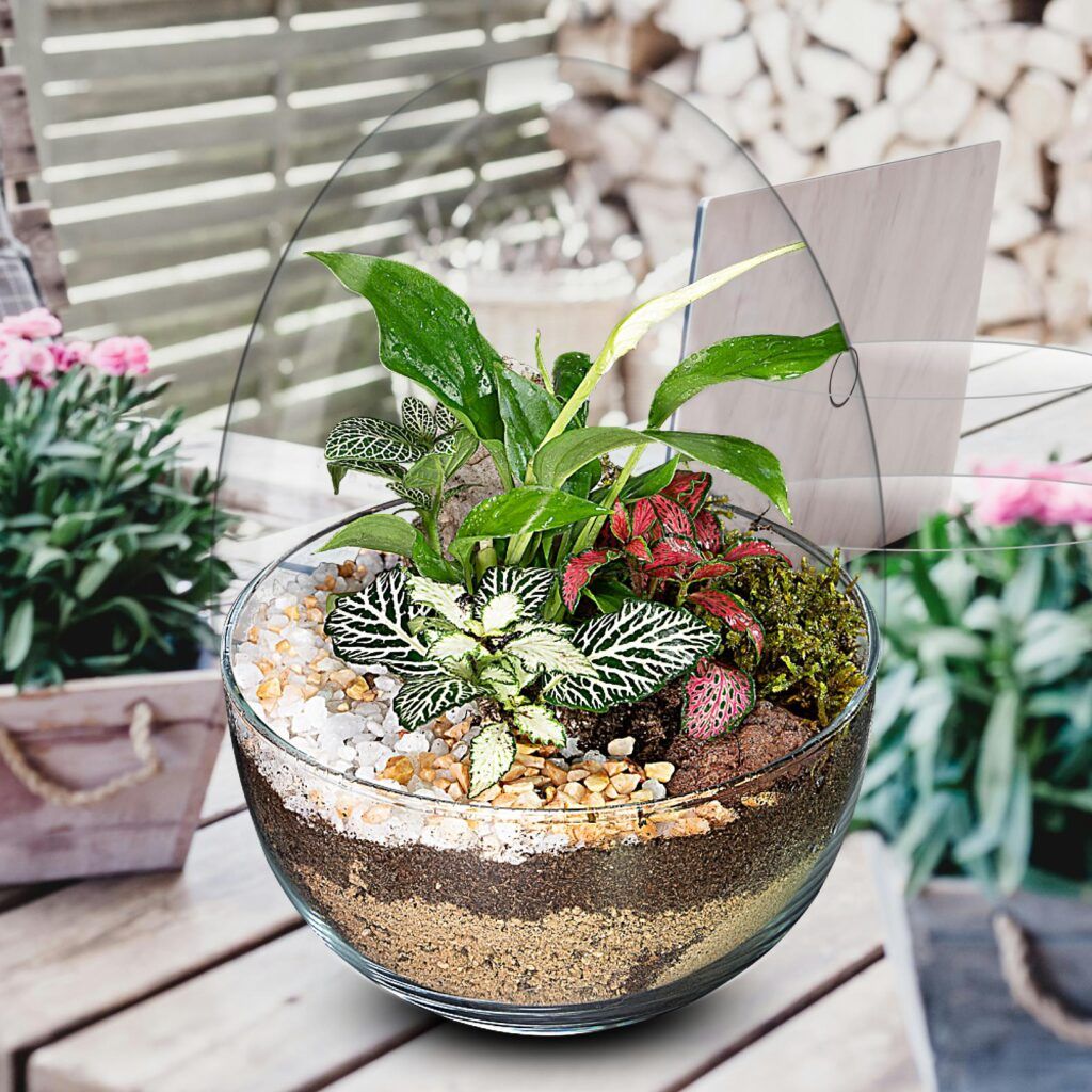 Biogarden,  ecosistema Jardín Biogarden, ecosistema Jardín formando parte de la decoración de un espacio