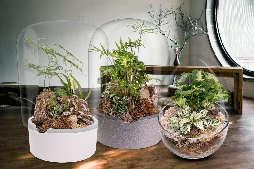 Biogarden ecosistemas Terrario Jardín Botánico Colección de ecosistemas terrario Jardín Botánico decorando espacios