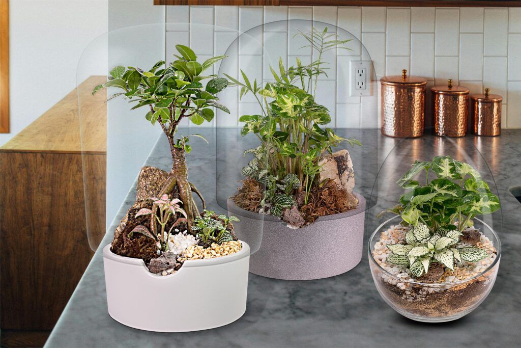 Biogarden, varios ecosistemas formando parte de la decoración de un hogar Biogarden, varios ecosistemas formando parte de la decoración de un hogar, como ejemplo de diseño