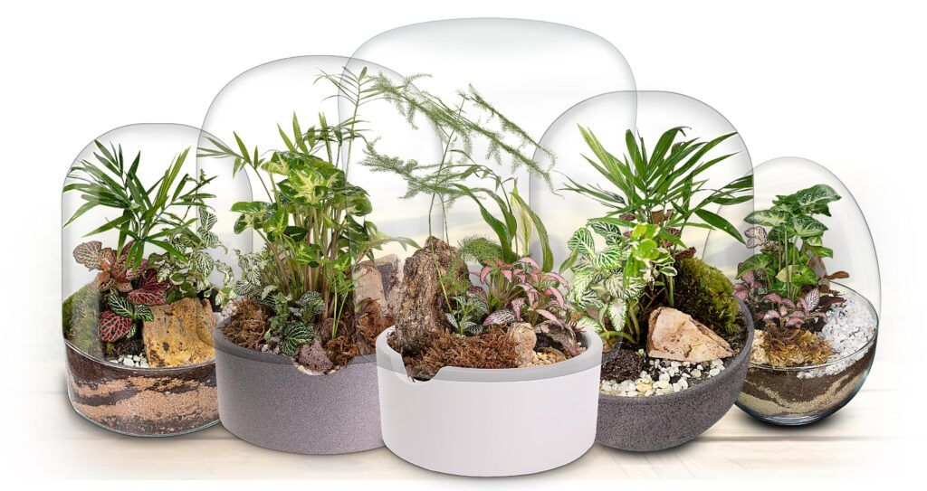 colección de ecosistemas Jardín botánico creados por Biogarden