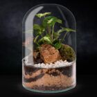 Biogarden, ecosistema terrario POCKET STRAUSS con base en color transparente y fondo negro