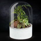 Biogarden, ecosistema terrario POCKET LISZT con base en color blanco decorativo