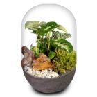 Biogarden, ecosistema terrario POCKET ROSSINI con base en color