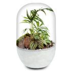 Biogarden, ecosistema terrario POCKET PUCCINI. con base en color blanco roto para combinar con la decoración y regalos