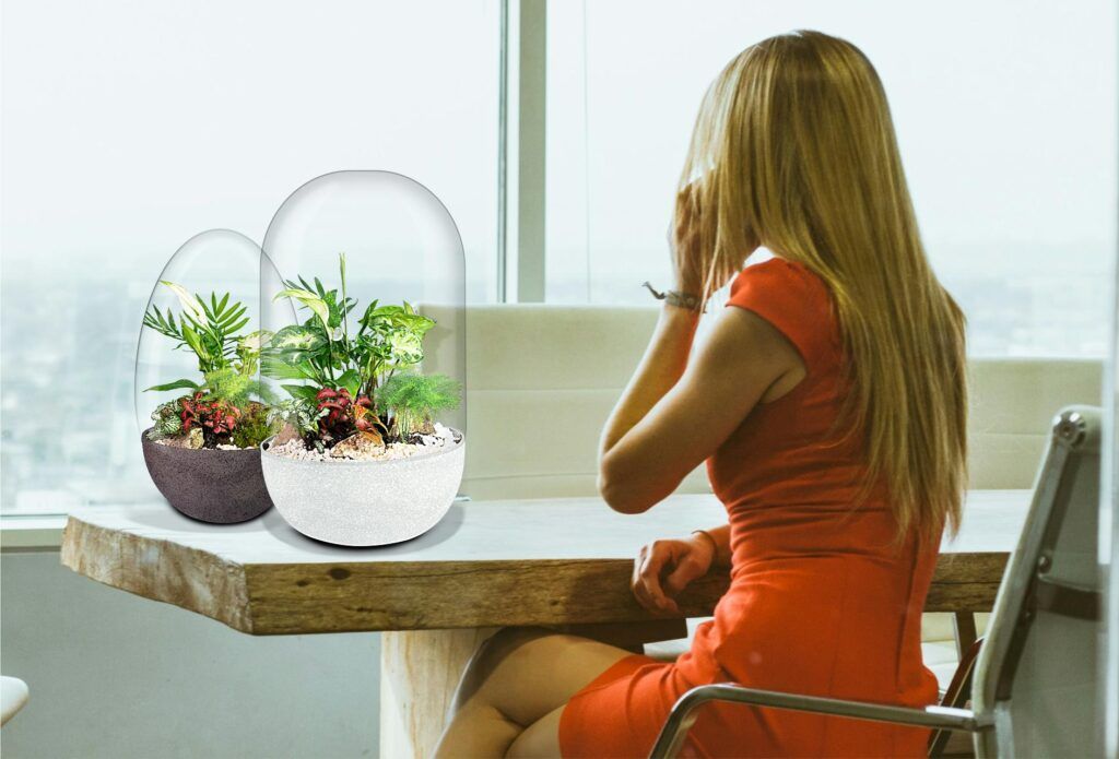 Biogarden, Ecosistema terrario en tu espacio de trabajo Biogarden, Ecosistema terrario en tu espacio de trabajo