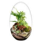 Biogarden, ecosistema terrario Jardín Botánico Cassat con base en terra nature