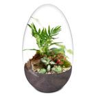 Biogareden Ecosistema terrario Cassat con la base en color antracita, solo necesita agua cada 6 meses.