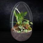 Biogareden Ecosistema terrario Cassat con la base en color antracita y fondo negro para que aprecies los matices, solo necesita agua cada 6 meses.