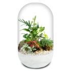 Biogarden, Ecosistema terrario Jardín Botánico Morisot on base en color blanco para combinar con tu decoración