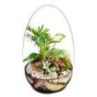 Biogarden Ecosistema terrario Jardín Botánico Van Gogh con base en terra natural